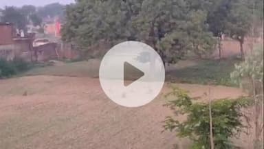 सिराथू: दारानगर में फिर से छोड़े गए सैकड़ों बंदर, पहले से ही लोग बंदरों से परेशान, मुख्यमंत्री पोर्टल पर की गई शिकायत