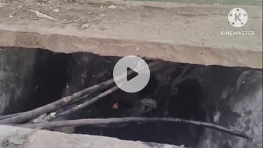 दौसा: शहर के आगरा रोड पर गोवंश के प्रति अद्भुत सेवा भाव का दृश्य, गौसेवकों ने निकाला तीन दिन से फंसे गोवंश को