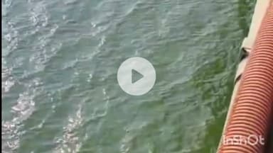 કુકરમુંડા: કુકરમુંડા ખાતે તાપી નદીના બ્રિજ પર તાપી મૈયા ની પૂજા કરી મંત્રીએ પ્રવાસ શરૂ કર્યો.