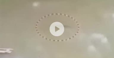 ढीमरखेड़ा: सिमरिया गांव के दूंनाई घाट में नदी में दिखे 4 मगरमच्छ, वीडियो आया सामने