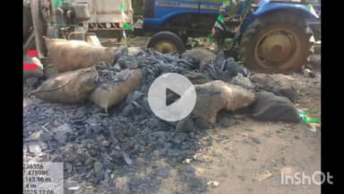 शिकारीपाड़ा: शिकारीपाड़ा वन विभाग की टीम ने लुटिया पहाड़ वन क्षेत्र से 10 क्विंटल अवैध कोयला ज़ब्त किया