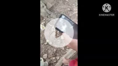 खुरई: ई-अटेंडेंस में नेटवर्क की समस्या से परेशान रहे शिक्षक, पढ़ाई का हुआ नुकसान