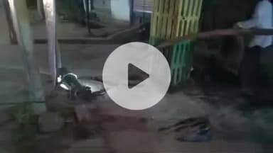 झांसी: झांसी के बरुआसागर में सड़क पर दिखा मगरमच्छ, लोगों में दहशत, वन विभाग ने किया पकड़