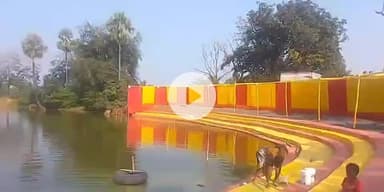 हिरणपुर: बीडीओ व थाना प्रभारी ने स्व. विभूति भूषण दत्ता छठ घाट व नामोपाड़ा छठ घाट  का निरीक्षण किया #indian #festival #chhat #puja