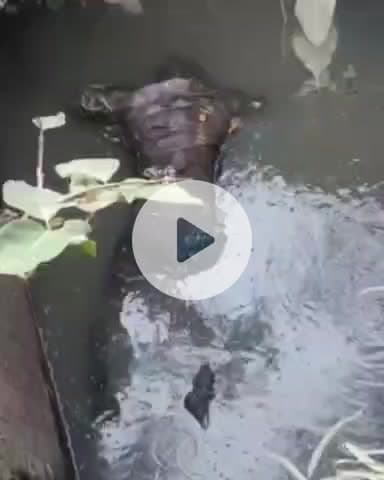 कानपुर: नवाबगंज क्षेत्र के अनुप्रिया पार्टी लॉन के पास मिला अज्ञात व्यक्ति का शव