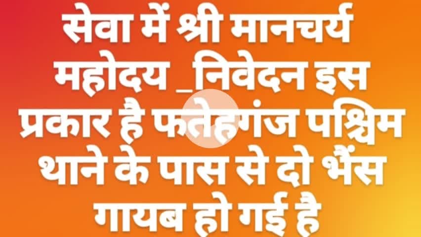 फतेहगंज पश्चिमी बरेली 
#आज की न्यूज़ 
#कल की न्यूज़ 
#23 तारीख की न्यूज़ 
बरेली फतेहगंज मीरगंज@
जो भी भैंस बताया उसको  .