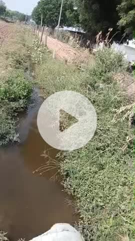 पिछले तीन महीनों से खेत में लगातार ग्राम पंचायत सारसोप के नलों का वेस्ट पानी जाकर भर रहा है प्रशासन ध्यान नहीं दे रहा है