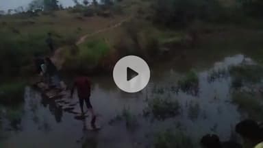 #कौशलपुर_पंचायत 
हटा विधानसभा में लोगों की जिंदगी की कोई कीमत नहीं
नाला पार करके छोटे छोटे बच्चे जाते हैं स्कूल