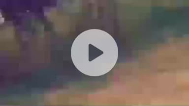 सिवानी: सिवानी में लीलस गांव के पास चलती कार में लगी भीषण आग, युवक ने शीशा तोड़कर बचाई जान