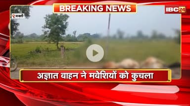 Sakti Accident News : अज्ञात वाहन ने मवेशियों को कुचला। हादसे में 8 गायों की मौत, 2 घायल