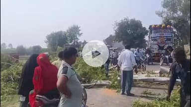 अमरोहा: रजबपुर में अतरासी अमरोहा रोड पर अचानक गिरा विशाल पेड़, यातायात हुआ बाधित