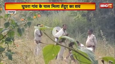 Jabalpur News: घुघरा गांव के पास मिला तेंदुए का शव। वन विभाग के अधिकारी मौके पर पहुंचे