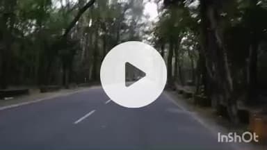 चकराता: सड़क पार करते हाथियों के झुंड को देख लोग बने सहयोगी