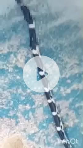 बहराइच: शाहनवाजपुर इलाके में छठ पूजा के दौरान नदी के पास सफाई करते समय युवक को सांप ने काटा, इलाज जारी