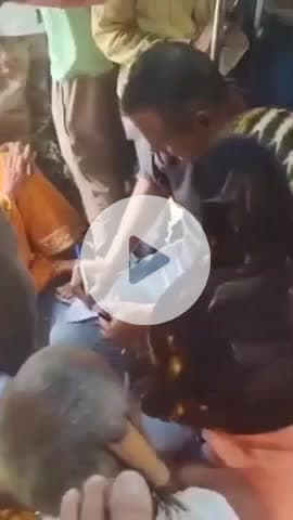 झांसी: झाँसी स्टेशन से झेलम एक्सप्रेस में चढ़ा फर्जी TTE पकड़ा गया, यात्रियों से पैसे वसूलते हुए वीडियो हुआ वायरल