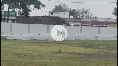 जैसीनगर: जैसीनगर में जंगल से आया बारहसिंगा, कुत्तों से बचने तालाब में कूदा, पुलिस व युवाओं ने किया रेस्क्यू