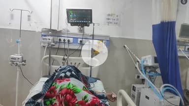 झालरापाटन: धनवास गांव में कृषि कार्य के दौरान मधुमक्खियों के हमले में मां-बेटे घायल, अस्पताल में किया गया उपचार