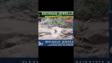 , यह कोई नाला या खड़ नहीं है, बल्कि दून विधानसभा की पहाड़ी पंचायत गोयला से सुआ खाली सड़क है