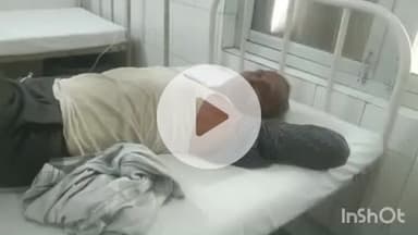 औरैया: कोतवाली के ग्राम शहाबदा में खेत में काम करते समय मधुमक्खियों के झुंड ने किया हमला, बुजुर्ग घायल होकर अस्पताल में भर्ती