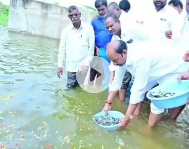 ధరూర్: మత్సకారుల సంక్షేమం కోసం ప్రభుత్వం కృషి - గద్వాల్ ఎమ్మెల్యే బండ్ల కృష్ణ మోహన్ రెడ్డి