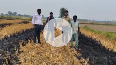 बहराइच: जनपद में पराली जलाने पर 20 कृषकों के खिलाफ डीएम के निर्देश पर कार्रवाई, भविष्य में पराली न जलाने के लिए किया गया सचेत