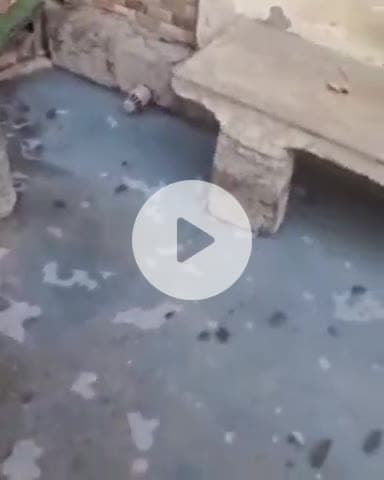 जगाधरी: वार्ड नंबर 10 में सफाई व्यवस्था से परेशान है कॉलोनी वासी  शिकायत पर भी नहीं निकल रहा हल#Jansamasya