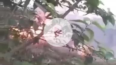 पूर्णिया पूर्व: गुड मिल्की स्थित छठ घाट के समीप पटाखे की चिंगारी से जंगल में लगी आग, कोई नुकसान नहीं