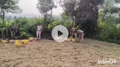 मुंगेर: मुंगेर पुलिस का विशेष अभियान जारी, आगामी विधानसभा चुनाव 2025 को लेकर कार्रवाई तेज़