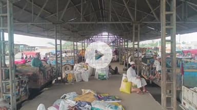 कालापीपल: कालापीपल कृषि उपज मंडी में सोमवार को सोयाबीन का मॉडल भाव ₹3900 प्रति क्विंटल बिका