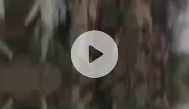 करछना: अरैल घाट पर छठ पूजा स्नान घाट का निरीक्षण डीसीपी यमुनापार विवेक चंद्र यादव ने किया, दिए आवश्यक दिशा-निर्देश