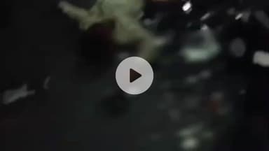 खड्डा: ढोलहा चौराहे पर बड़ा सड़क हादसा: गंडक नहर किनारे दो बाइक की आमने-सामने टक्कर, दो की मौत, एक जिंदगी के लिए लड़ रहा है