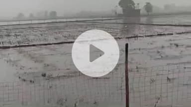 पीपलदा: कोटा जिले में आसमानी बारिश से जन जीवन अस्त व्यस्त, खातोली में नहर टूटी, धान की फसल को हुआ नुकसान