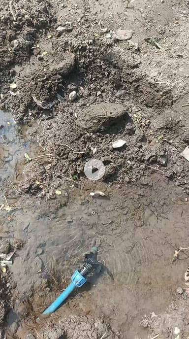 मलाढ पंचायत के वार्ड नंबर 10 में शुक्रवार से पानी निकलने लगा अभी तक कोई देखने वाला है।