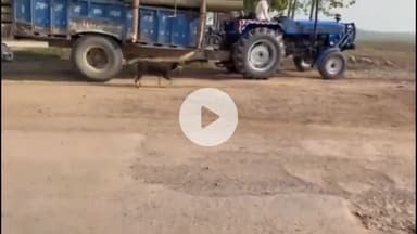 जगाधरी: फेरू वाला गांव में खराब सड़क को लेकर भारतीय किसान यूनियन का प्रदर्शन, प्रशासन को दिया 3 दिन का समय