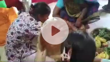 झाझा: झाझा प्रखण्ड क्षेत्र में गूंज रहे छठ गीत, घरों में प्रसाद बनाने में उत्साहित दिखे छठव्रती और श्रद्धालु