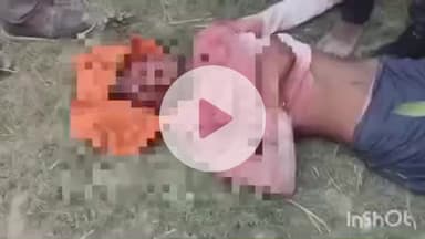 बहराइच: रमपुरवा मुखिया फार्म में हल्दी के खेत में काम कर रहे किसान को बाघ ने नोचकर मार डाला, इलाके में दहशत