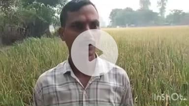 बिधूना: तहसील क्षेत्र बिधूना समेत जिले भर में हो रही बारिश के चलते फसलों को हो रहा नुकसान, किसान हुए परेशान