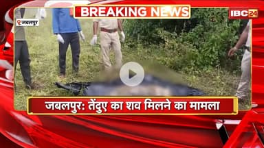 Jabalpur News : तेंदुए का शव मिलने का मामला। करंट लगाकर बनाया शिकार, PM Report में हुआ खुलासा
