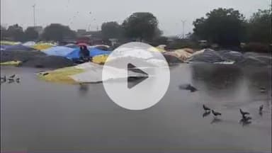 लाडपुरा: कोटा भामाशाह मंडी में बेमौसम बरसात के कारण किसानों और व्यापारियों की खुले में पड़ी फसलें भीगी