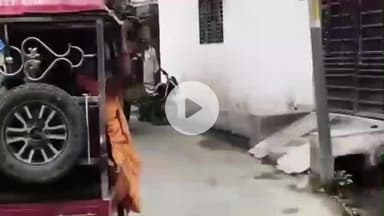 शाहबाद: मीरा बस्ती की पतली सड़क पर दनदनाती अवैध हरी लकड़ी लदी ट्रैक्टर ट्रालियां, वन विभाग मौन