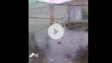 झांसी: बारिश से किसानों की चिंता बढ़ी, बबीना के किसानों ने खेतों में खड़ी और कटी धान की फसल को नुकसान की जताई आशंका