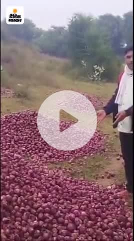 kisan ki mahenat ka fal #@@@