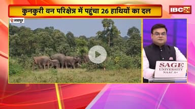 Jashpur Elephant News:कुनकुरी वन परिक्षेत्र में हाथियों का आतंक। हाथियों ने फसलों को पहुंचाया नुकसान