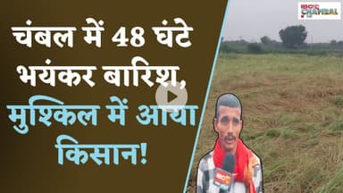 चंबल में 48 घंटे भयंकर बारिश, मुश्किल में आया किसान! | Datia News
