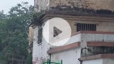 सिराथू: सैनी थाने में बंदरों का आतंक, पुलिस और आम लोगों को हो रही दिक्कत