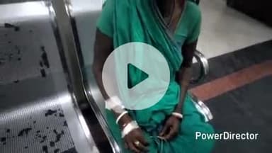 कटिहार: इटवा फोड़ा में खेत से लौट रही महिला को जहरीले सांप ने काटा, अस्पताल में भर्ती