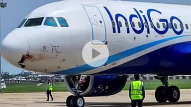 देहरादून: देहरादून से बंगलुरू जा रही इंडिगो की फ्लाइट से टकराया पक्षी, 170 यात्री थे सवार, सभी सुरक्षित