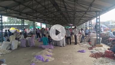 कालापीपल: कालापीपल मंडी में प्याज व लहसुन की आवक बढ़ी, लहसुन का मॉडल भाव ₹4700 प्रति क्विंटल बिका