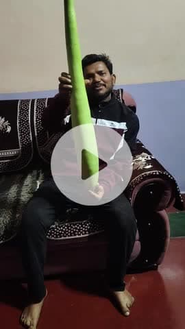 #अद्भुत लौकी जिसकी लंबाई 4 फीट#पूरा जैविक लौकी है बिल्कुल अनोखी चार फीट लंबी@