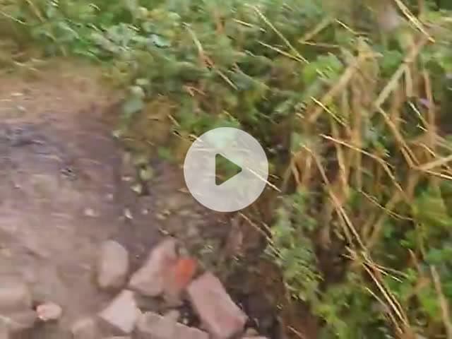 bahraich gawo बड़का पुरवा इमलिया रोड,